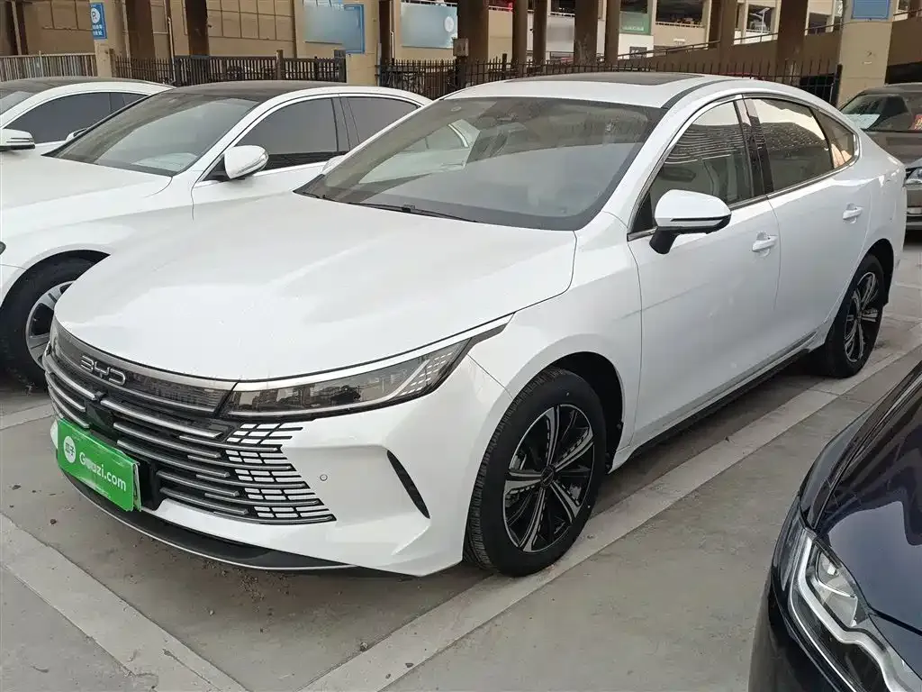 BYD Destroyer 05 2024 из CN, фото 5