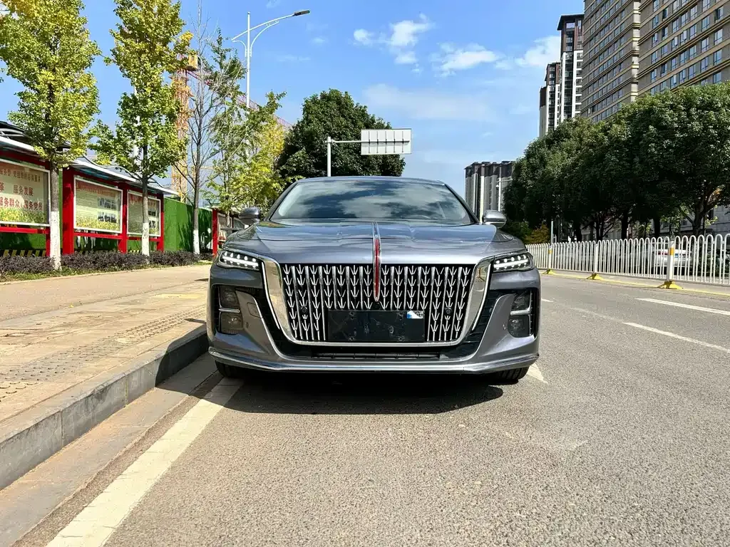 Hongqi H5 2023 из CN, фото 2