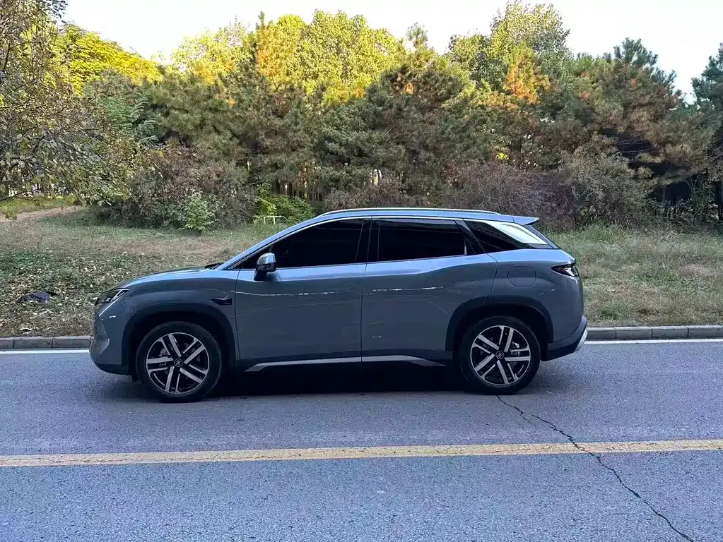 BYD L DM-i 2025 из CN, фото 4