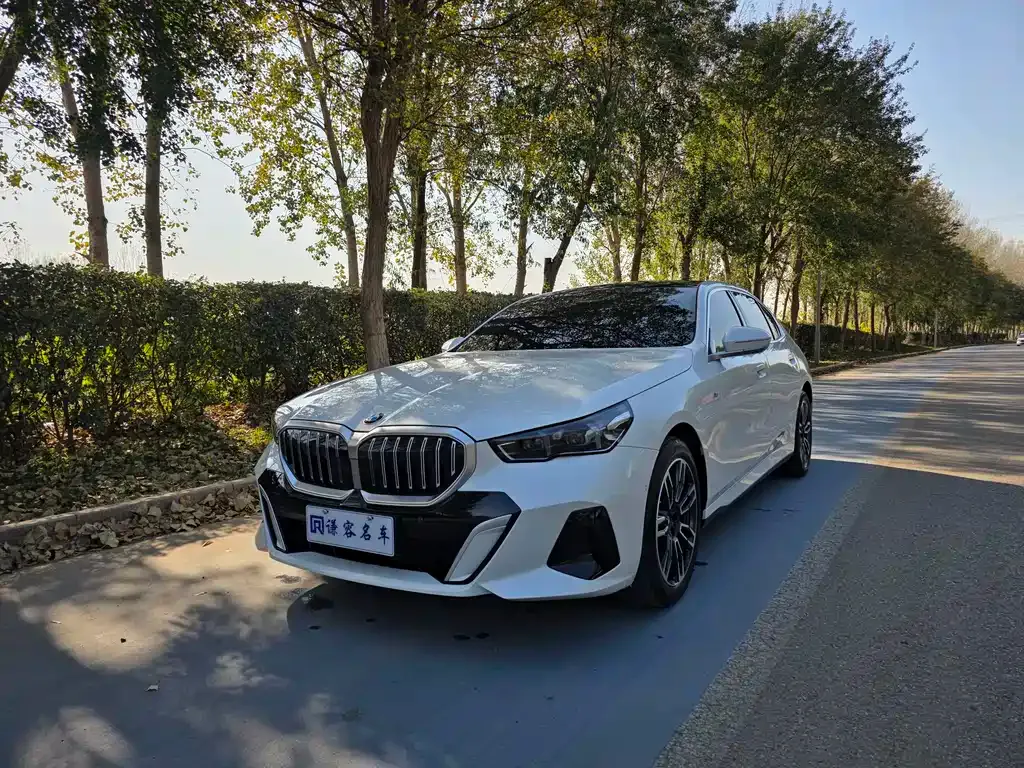 BMW 5 Series 2025 из CN, фото 1