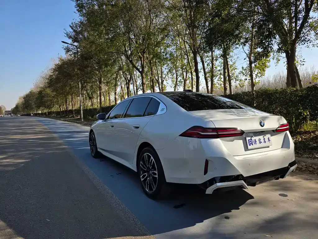 BMW 5 Series 2025 из CN, фото 8
