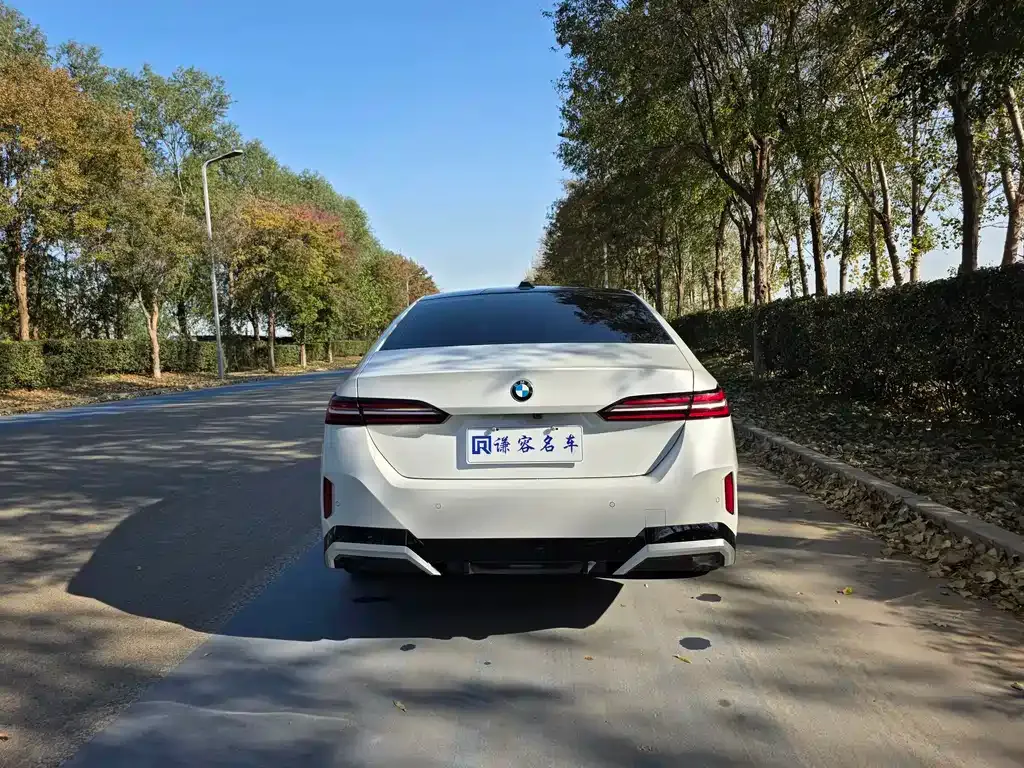 BMW 5 Series 2025 из CN, фото 9