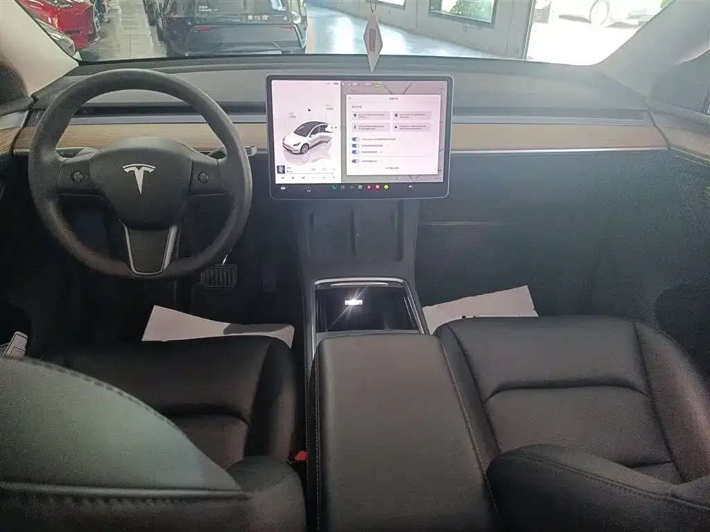 Tesla Model Y — фото 10