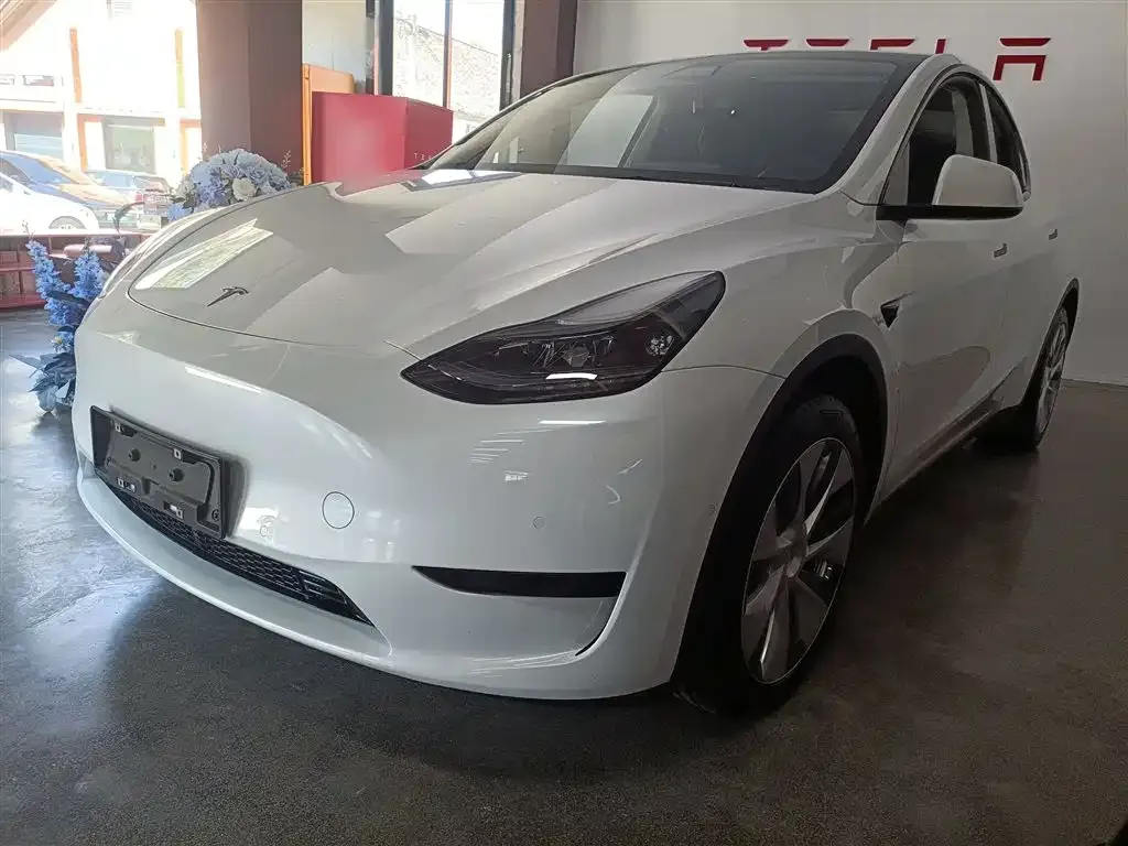 Tesla Model Y — фото 2
