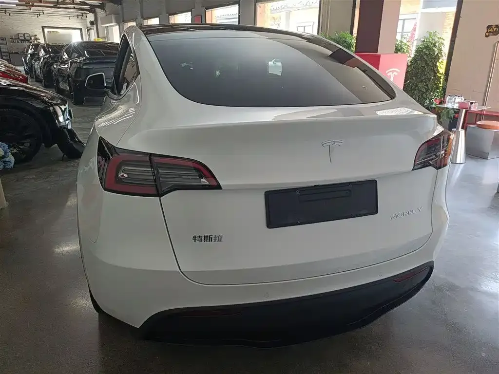 Tesla Model Y — фото 6