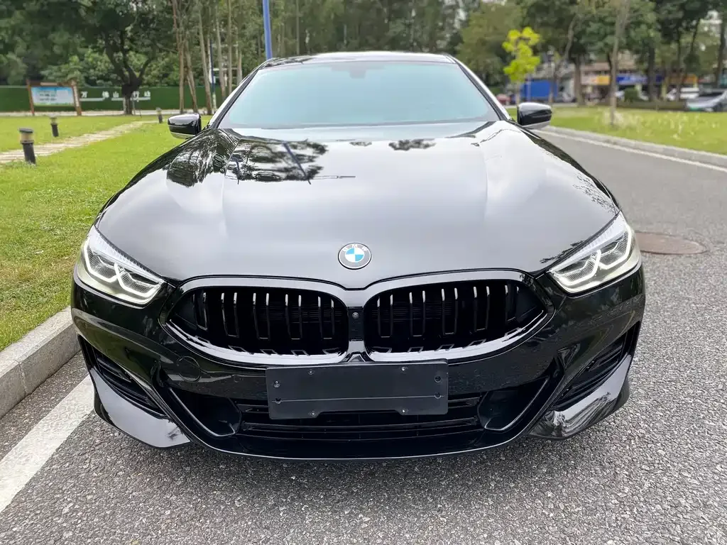 BMW 8 Series 2022 из CN, фото 1