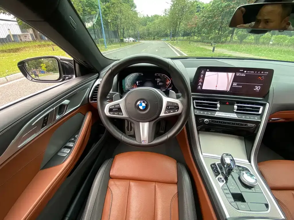 BMW 8 Series 2022 из CN, фото 10