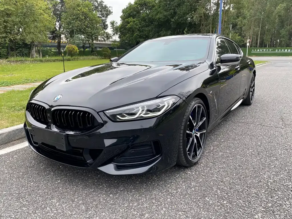 BMW 8 Series 2022 из CN, фото 3