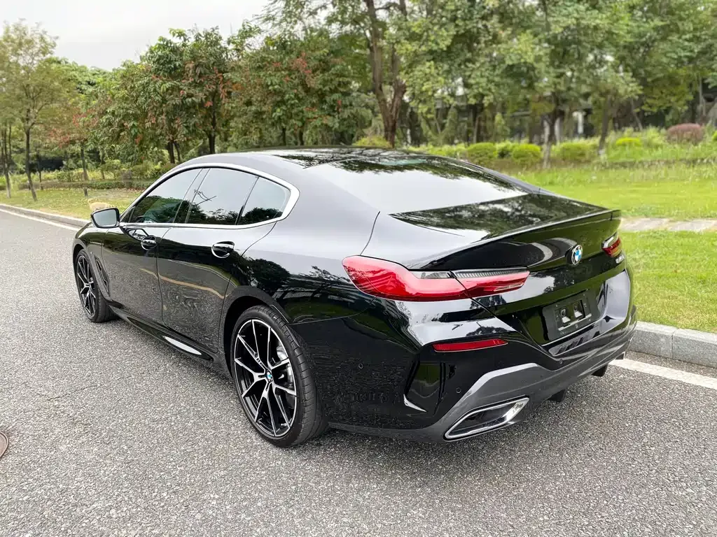 BMW 8 Series 2022 из CN, фото 6