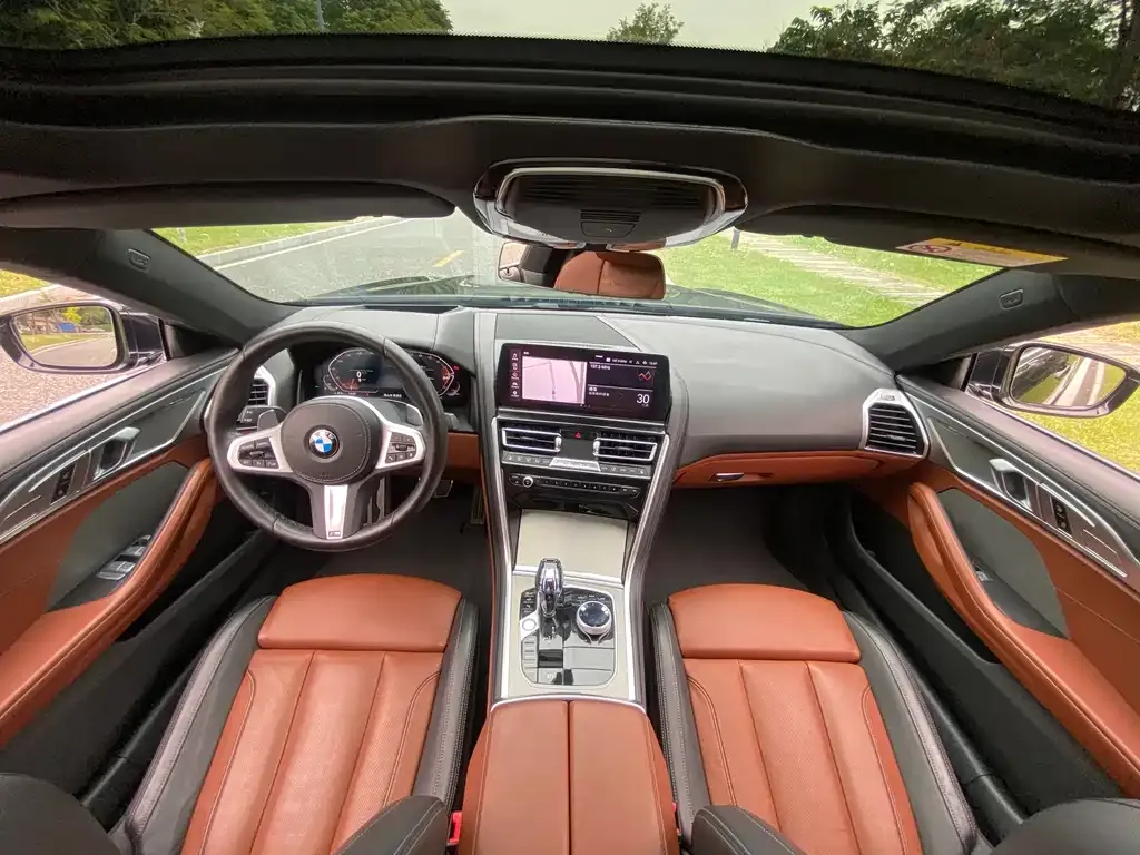 BMW 8 Series 2022 из CN, фото 9