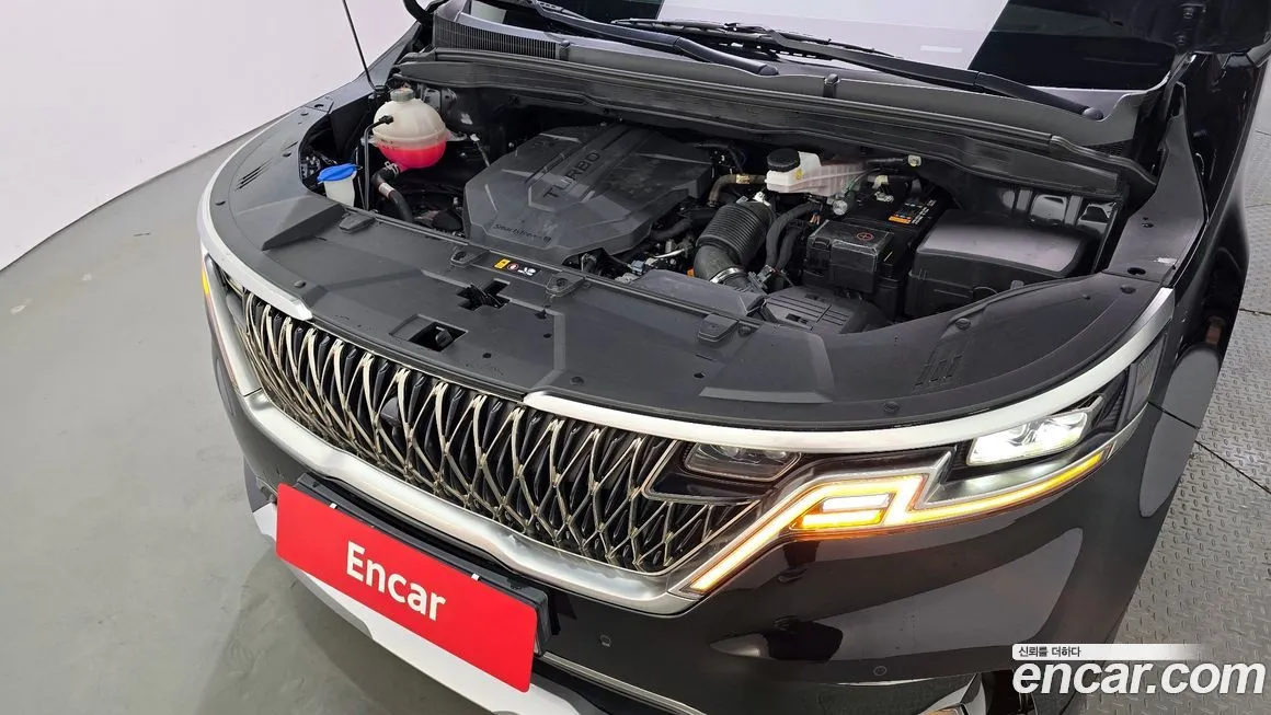 [object Object] Canival 2022 из KR, фото 6