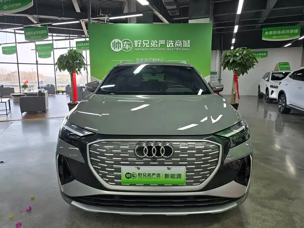 Audi Q4 e-tron 2023 из CN, фото 2
