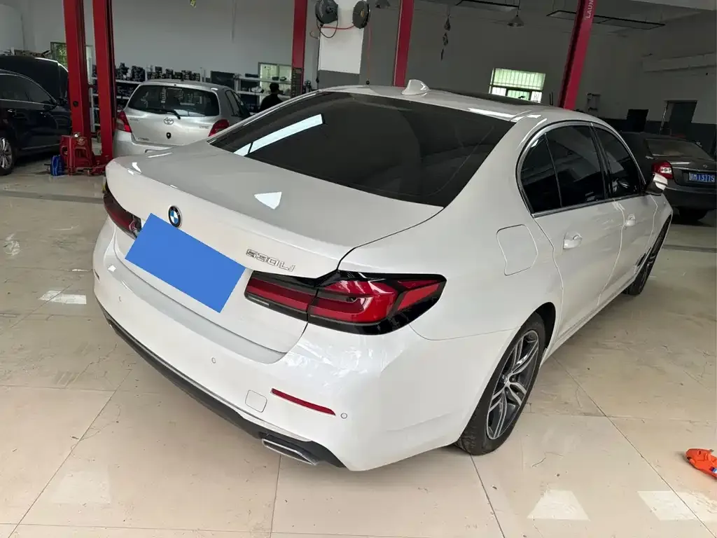 BMW 5 Series 2023 из CN, фото 3