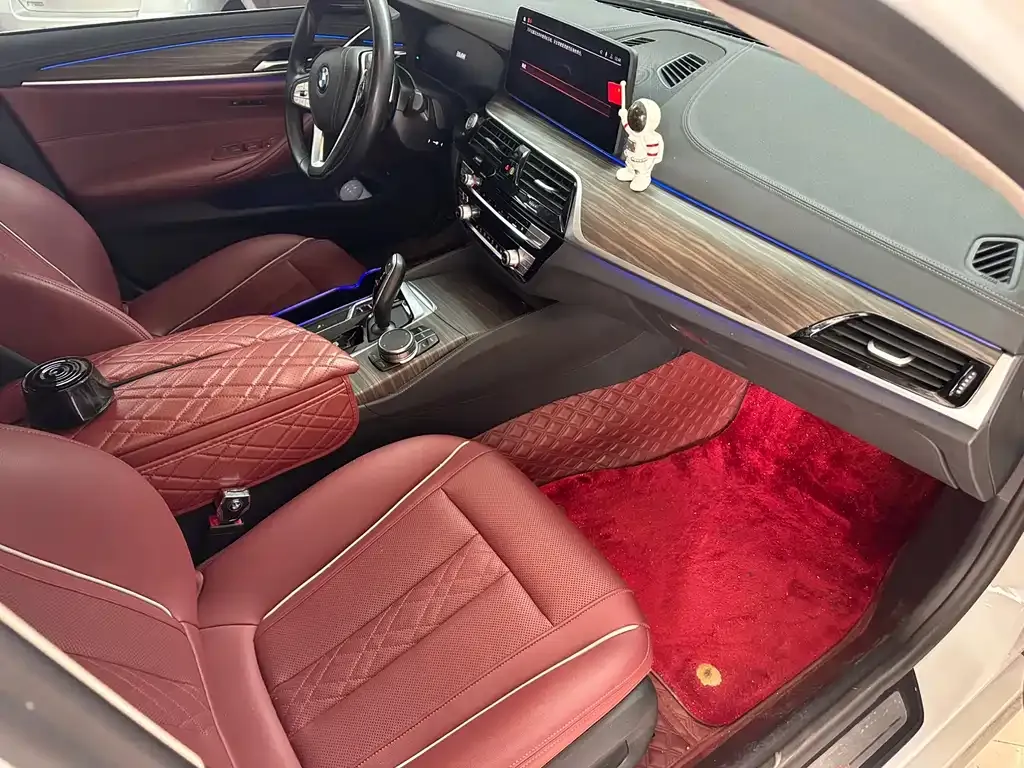 BMW 5 Series 2023 из CN, фото 4