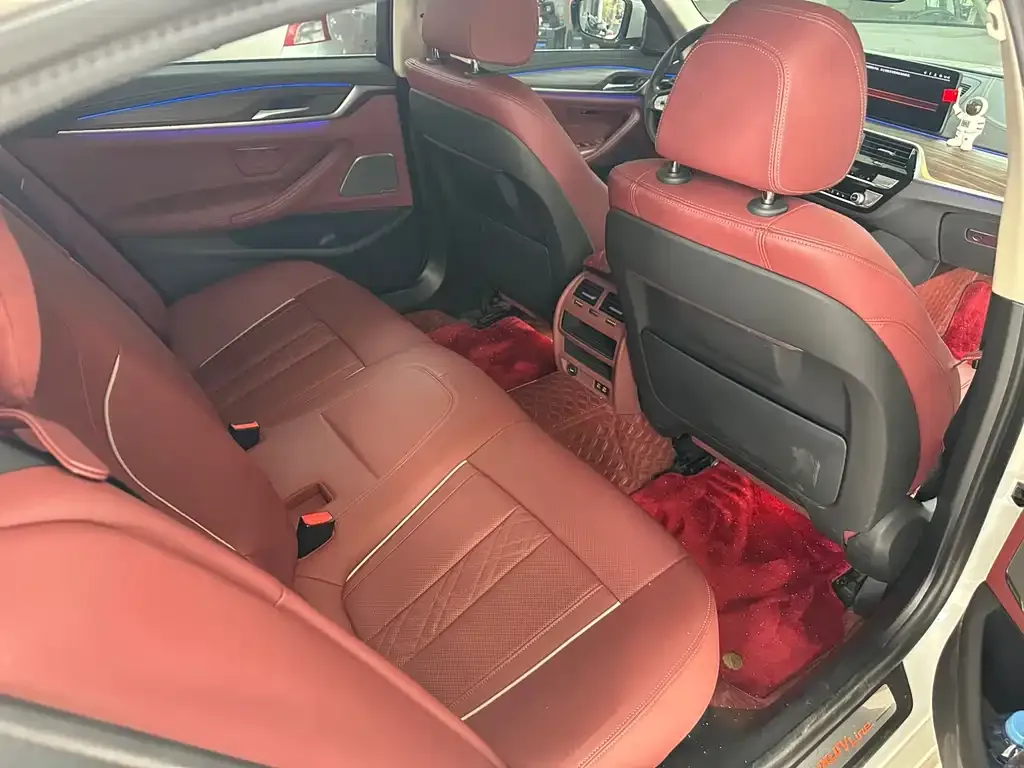 BMW 5 Series 2023 из CN, фото 5