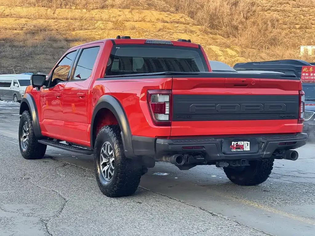 Ford F-150 Raptor 2024 из CN, фото 8