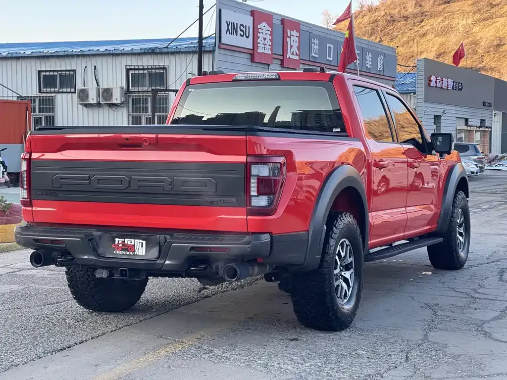 Ford F-150 Raptor 2024 из CN, фото 9