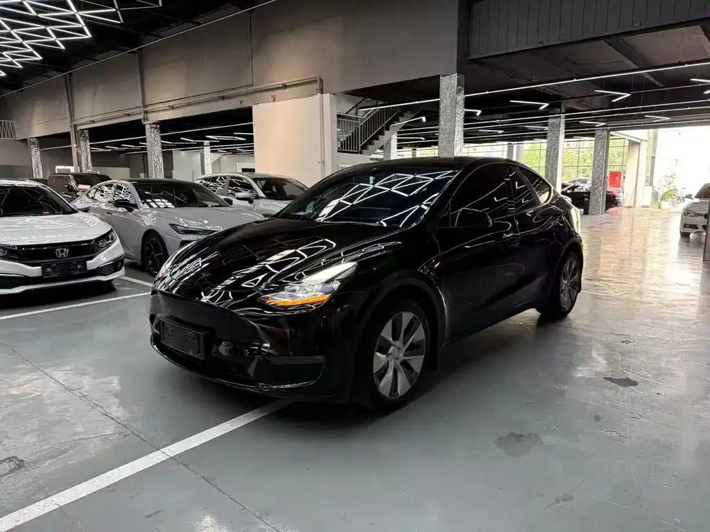 Tesla Model Y 2022 из CN, фото 1