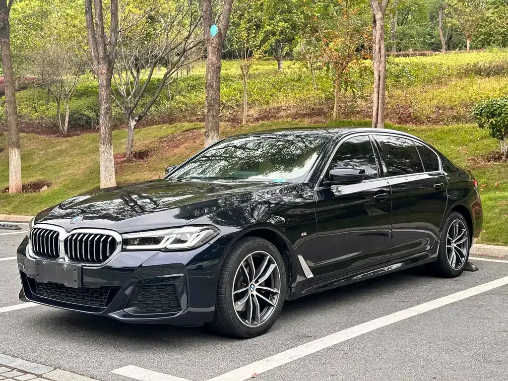BMW 5 Series 2021 из CN, фото 1