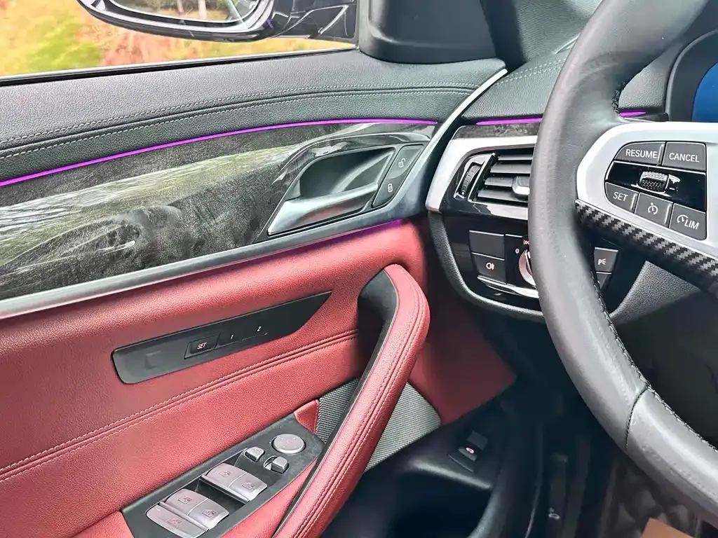BMW 5 Series 2021 из CN, фото 10