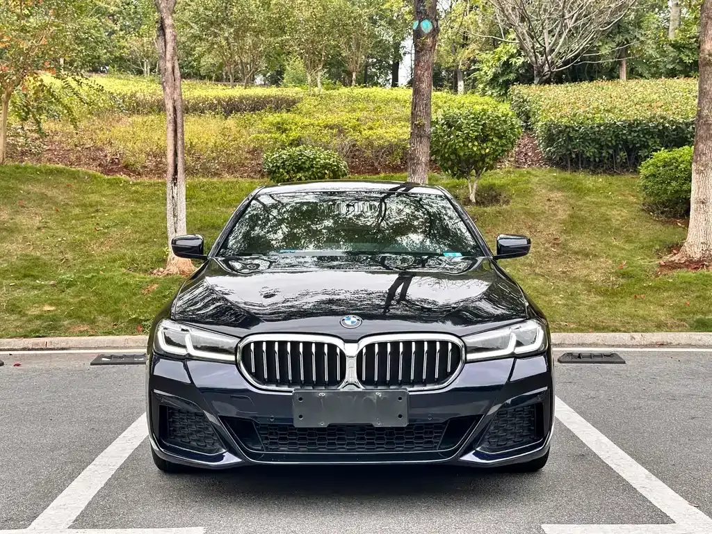 BMW 5 Series 2021 из CN, фото 2