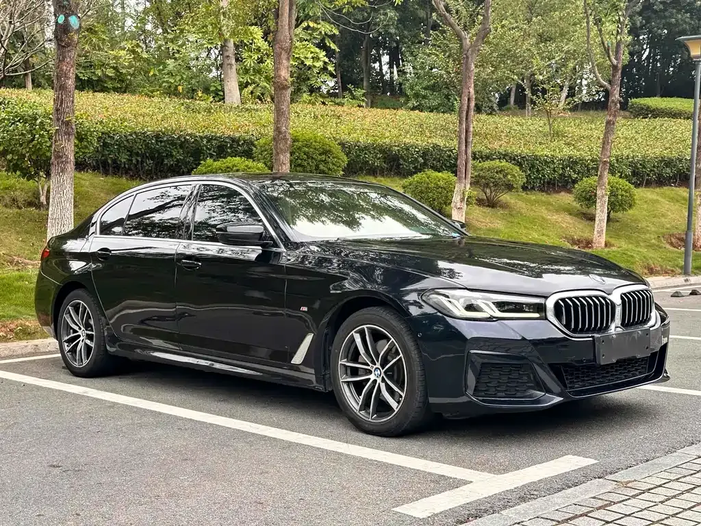 BMW 5 Series 2021 из CN, фото 3