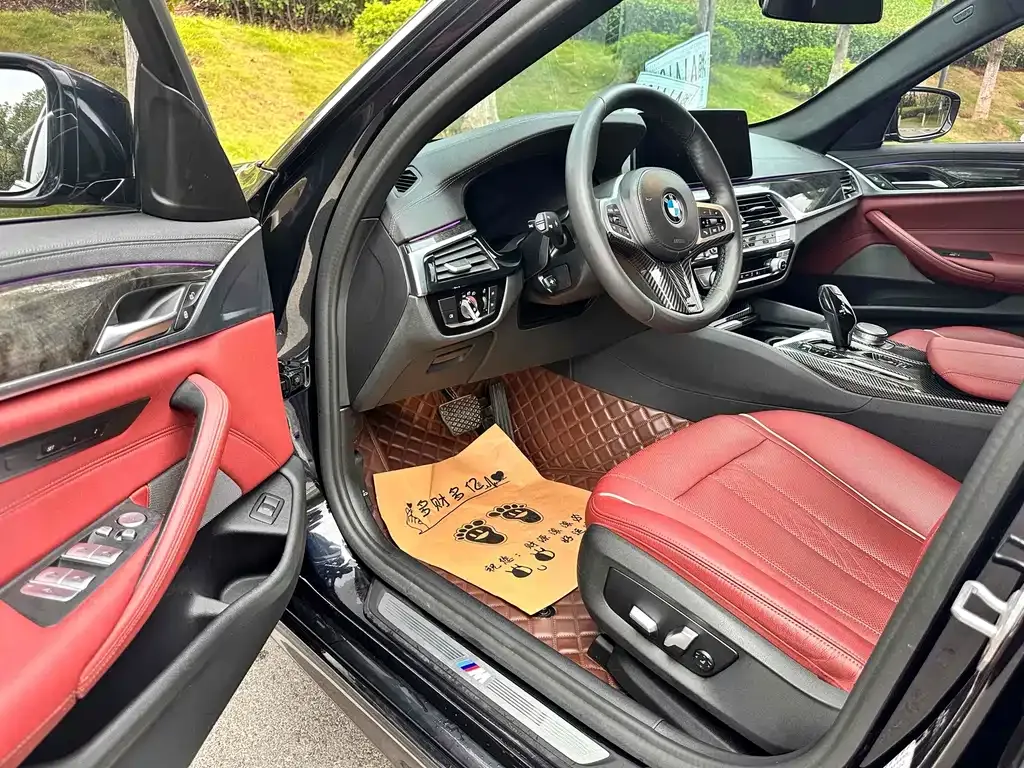BMW 5 Series 2021 из CN, фото 4