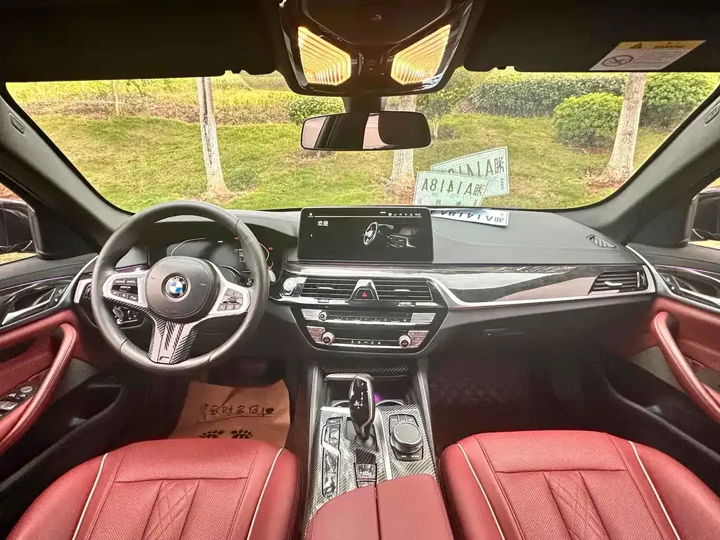 BMW 5 Series 2021 из CN, фото 8