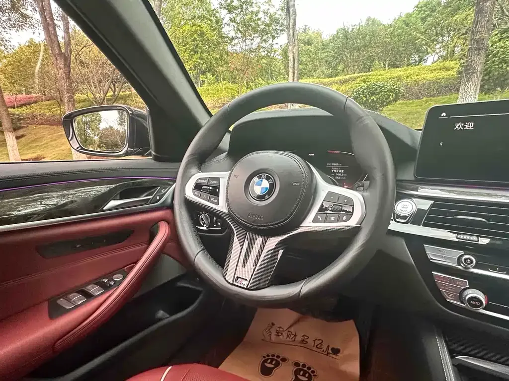 BMW 5 Series 2021 из CN, фото 9