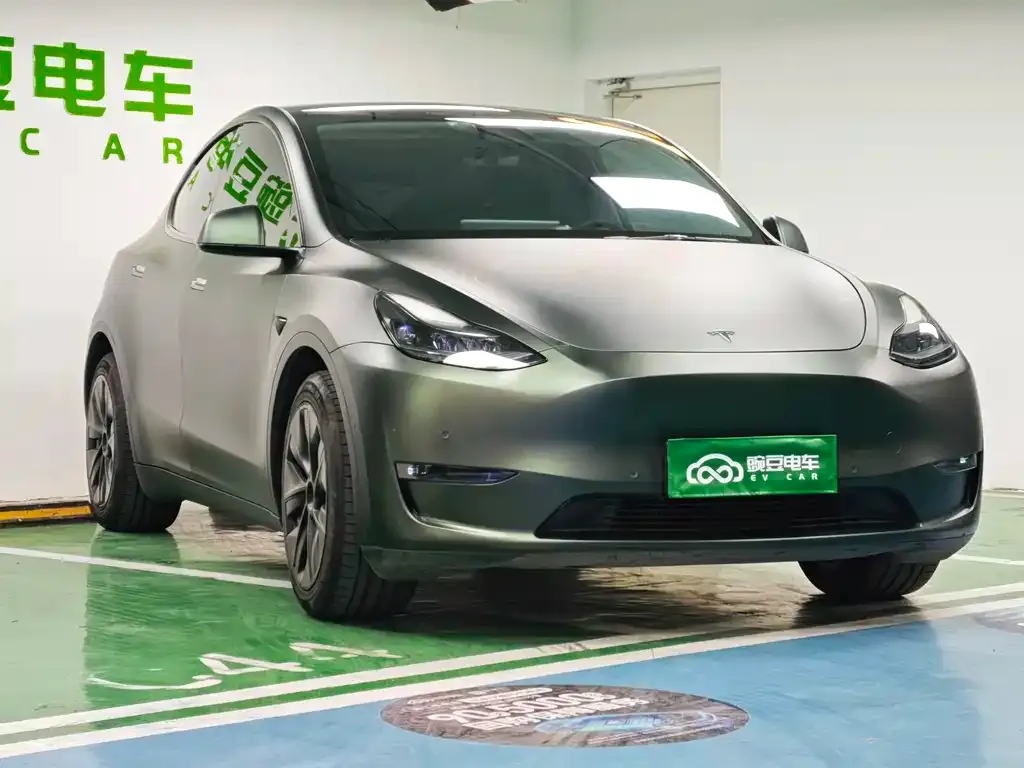 Tesla Model Y 2021 из CN, фото 5