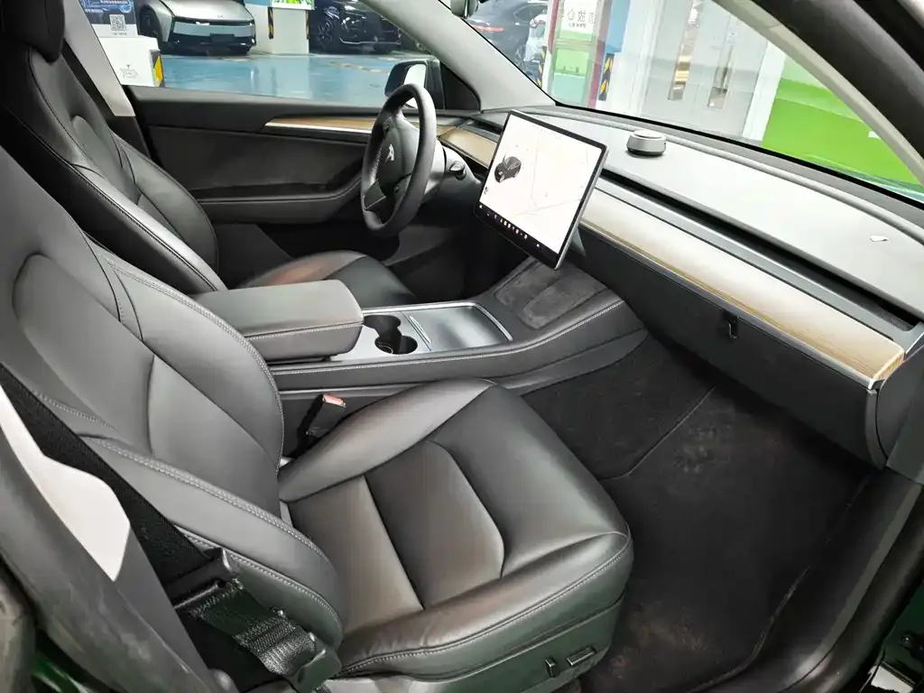 Tesla Model Y 2021 из CN, фото 6