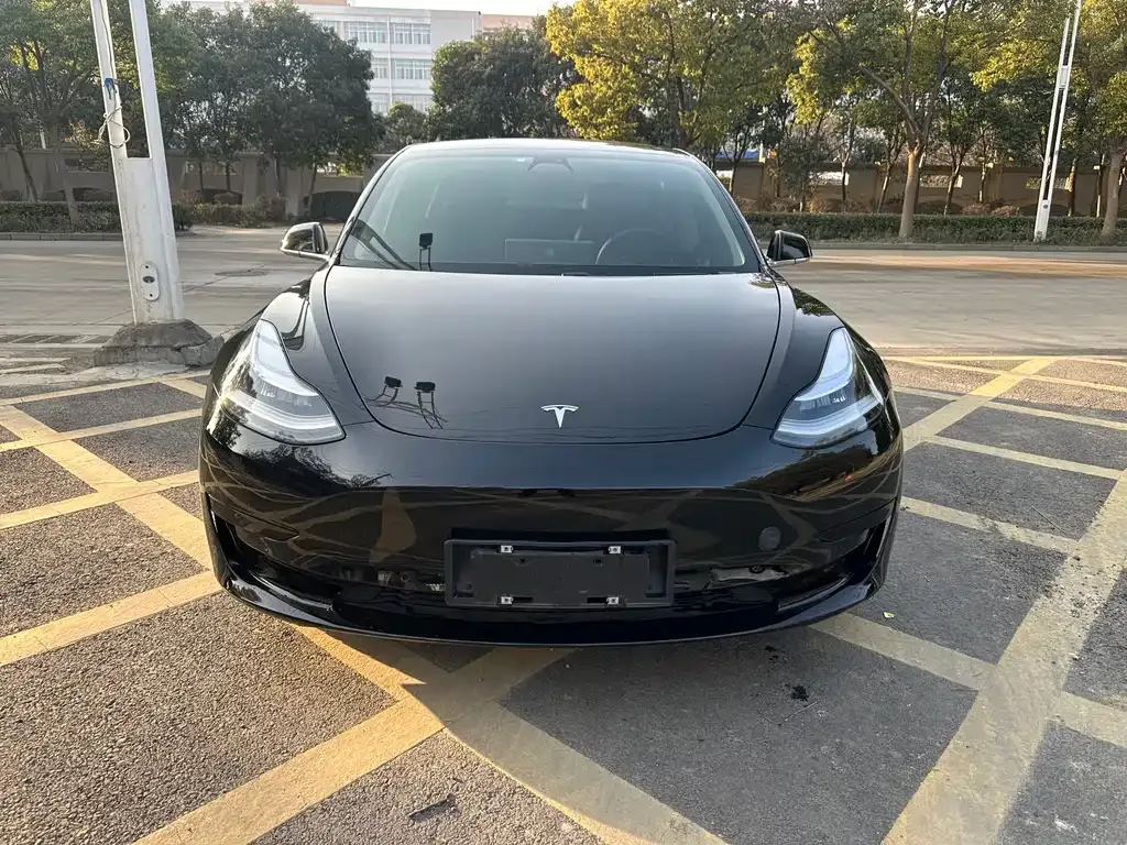 Tesla Model 3 — фото 2