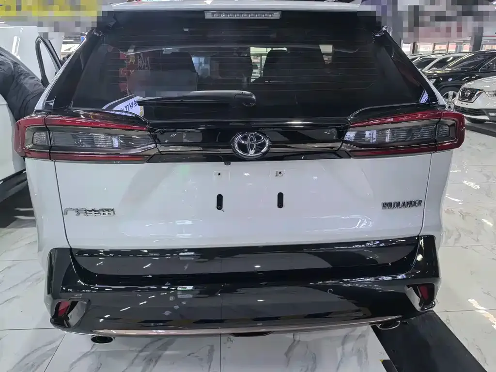 Toyota Wildlander 2024 из CN, фото 4