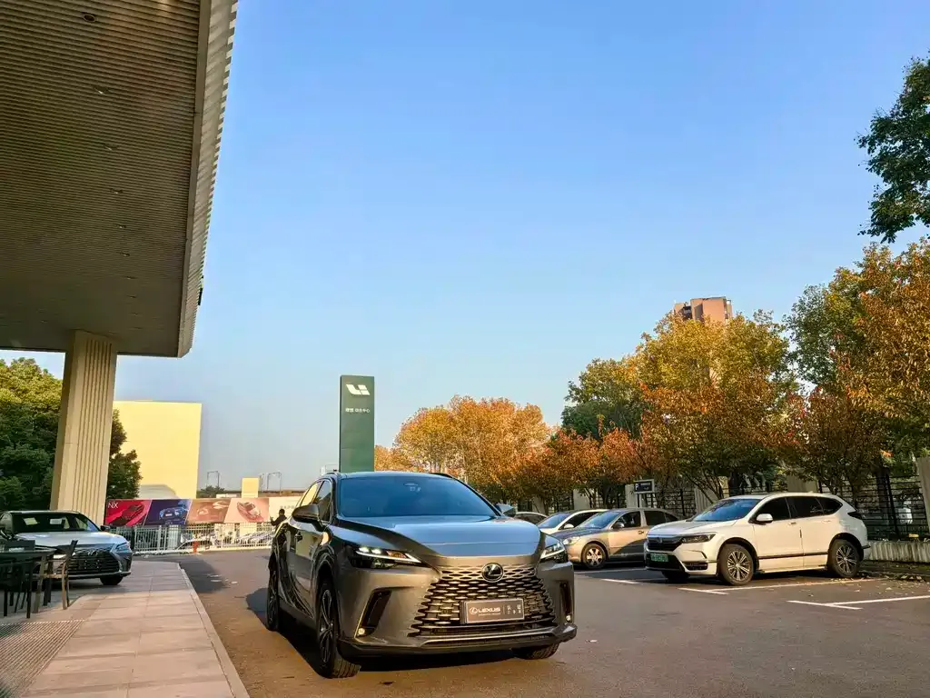 Lexus RX 2024 из CN, фото 3