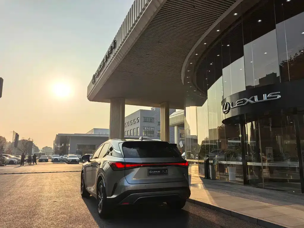 Lexus RX 2024 из CN, фото 7