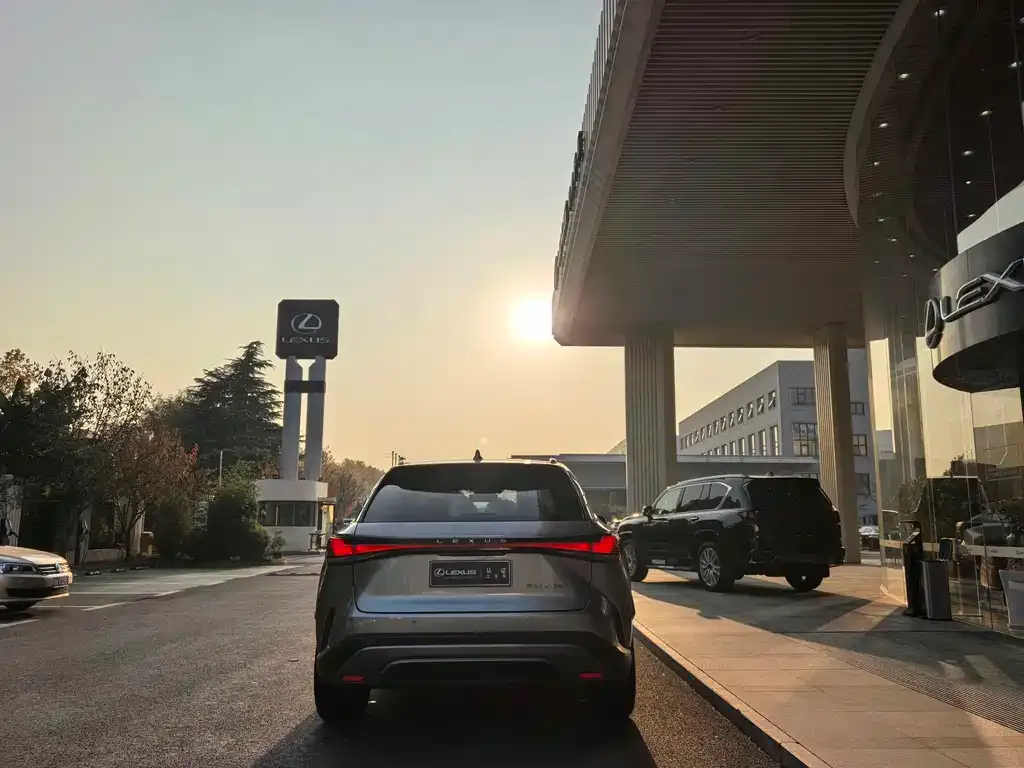 Lexus RX 2024 из CN, фото 8