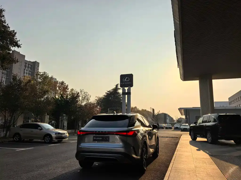 Lexus RX 2024 из CN, фото 9