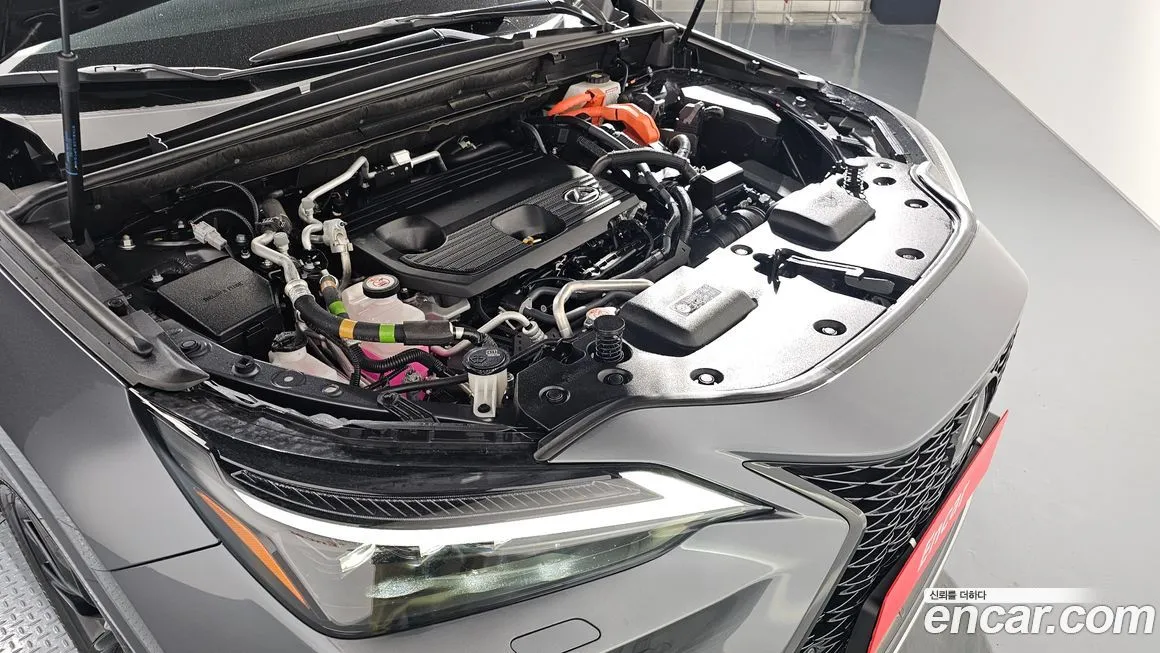 Lexus NX 2024 из KR, фото 6