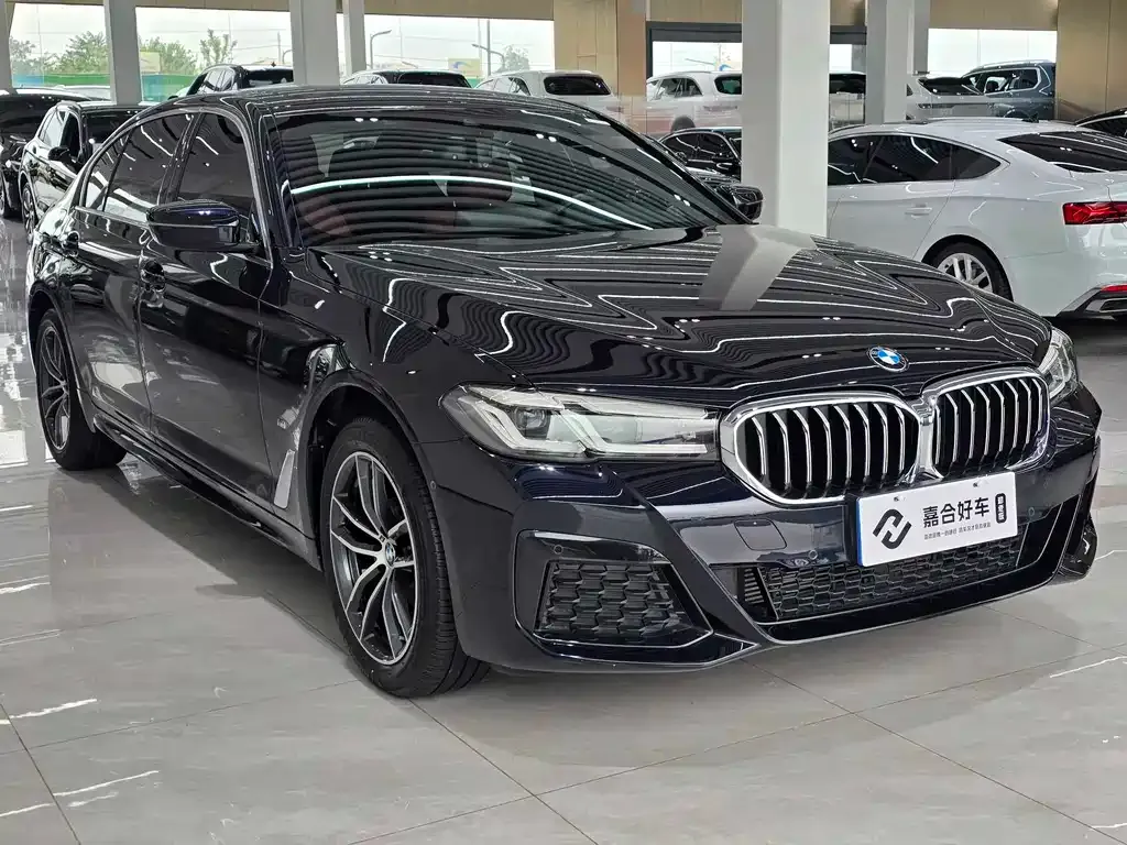 BMW 5 Series 2023 из CN, фото 3