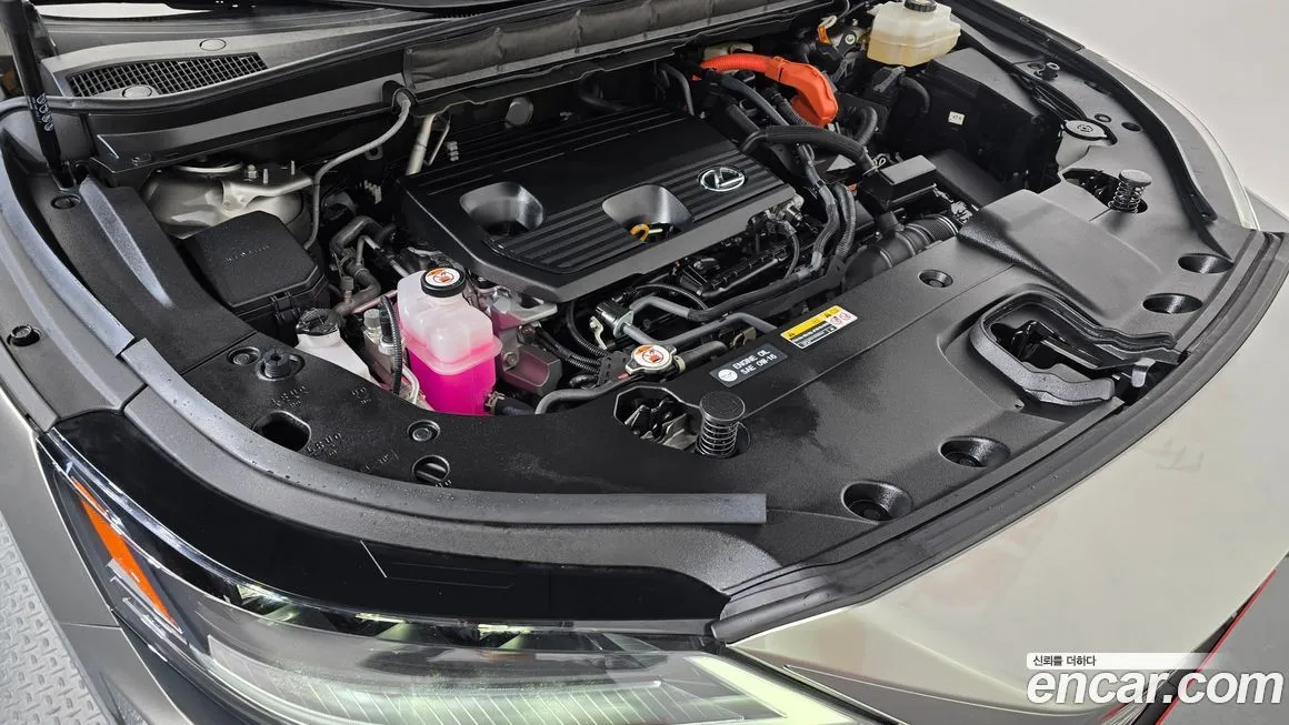 Lexus RX 2024 из KR, фото 6