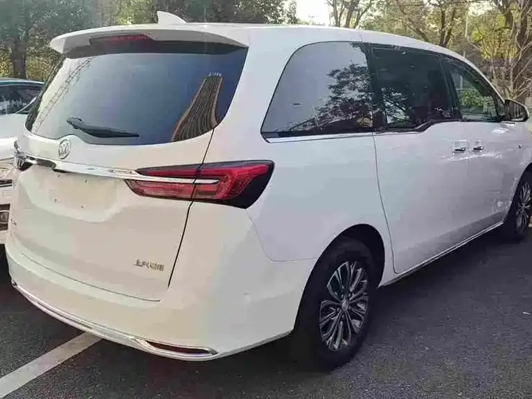 Buick GL8 2023 из CN, фото 6