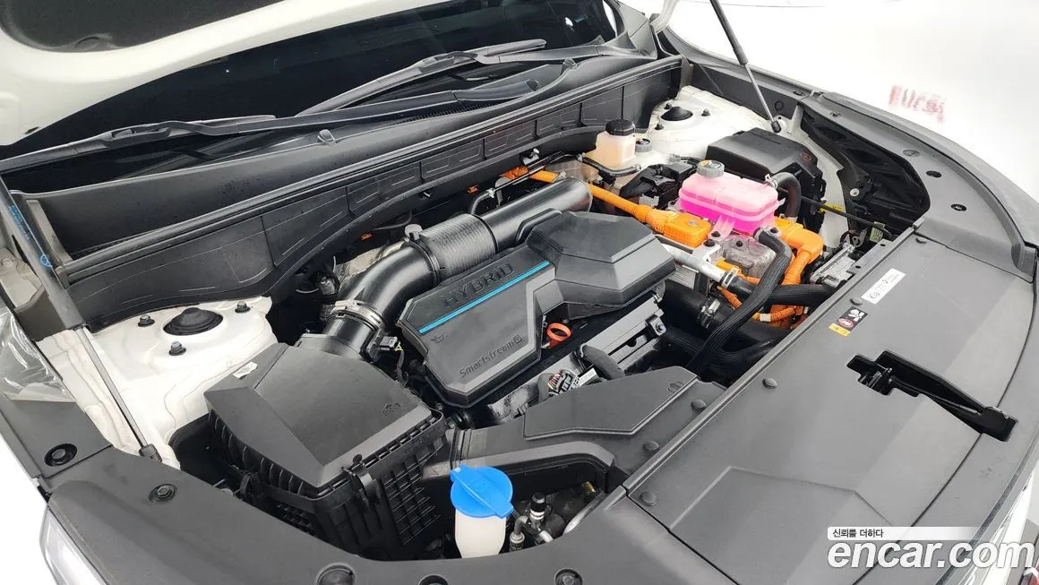 Kia Sorento 2024 из KR, фото 6