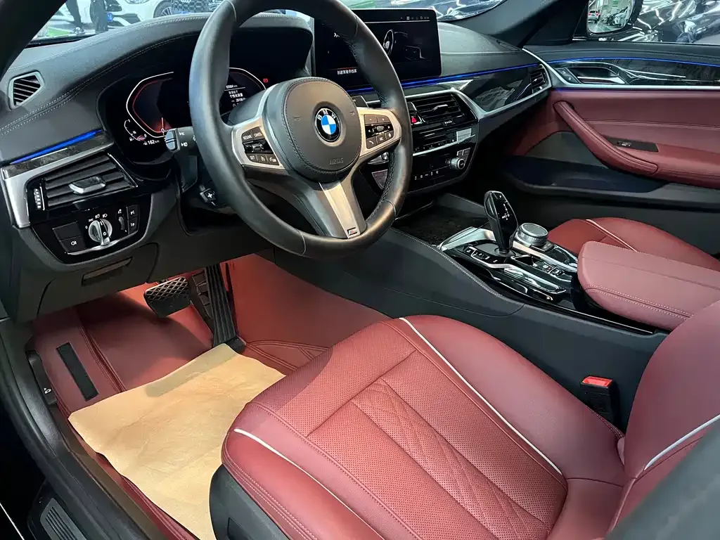 BMW 5 Series 2022 из CN, фото 4