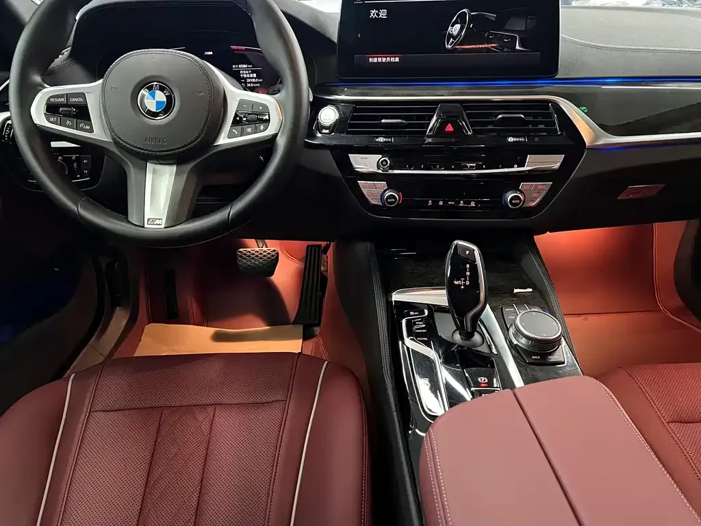 BMW 5 Series 2022 из CN, фото 6