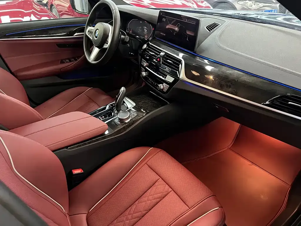 BMW 5 Series 2022 из CN, фото 8