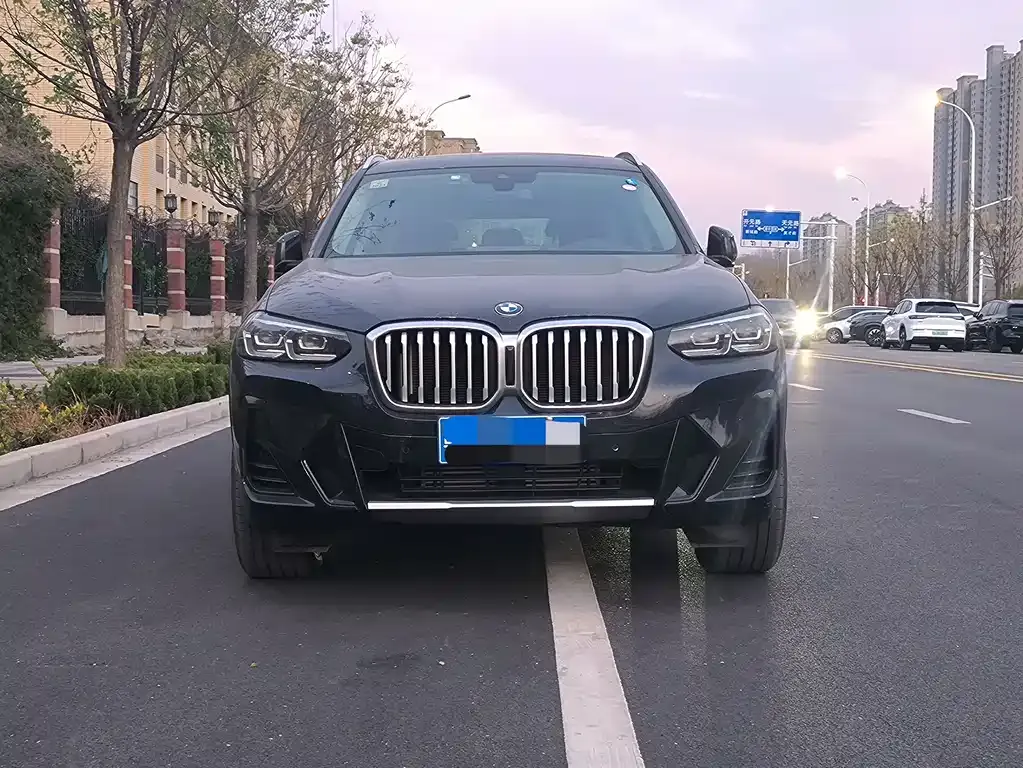 BMW X3 2021 из CN, фото 2