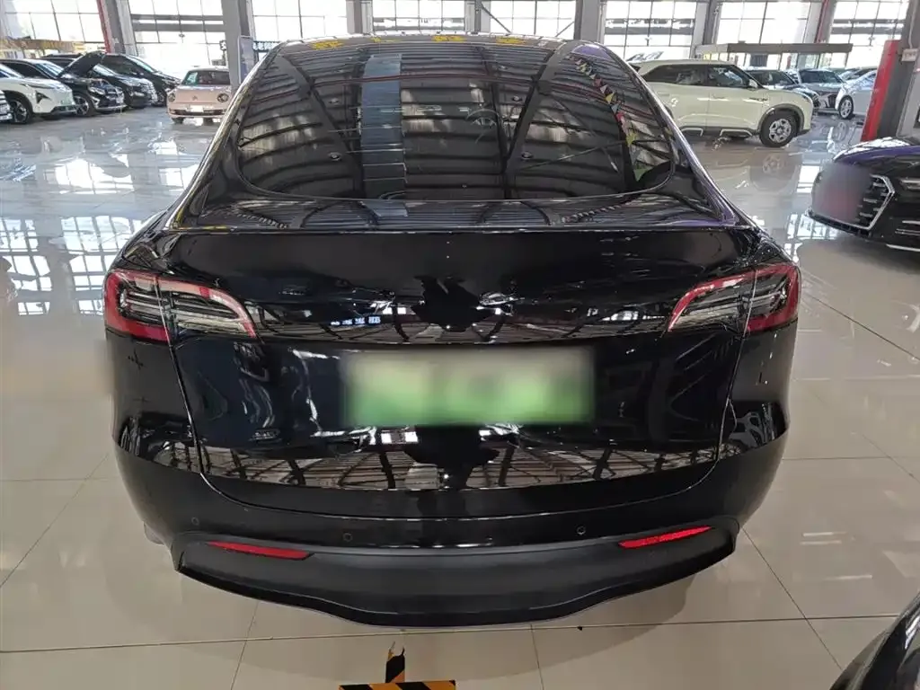 Tesla Model Y 2023 из CN, фото 6