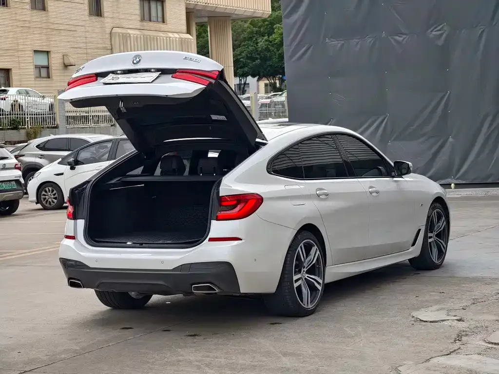 BMW 6 Series GT 2021 из CN, фото 9