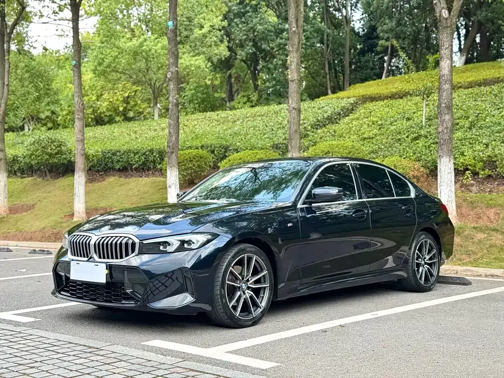 BMW 3 Series 2023 из CN, фото 1