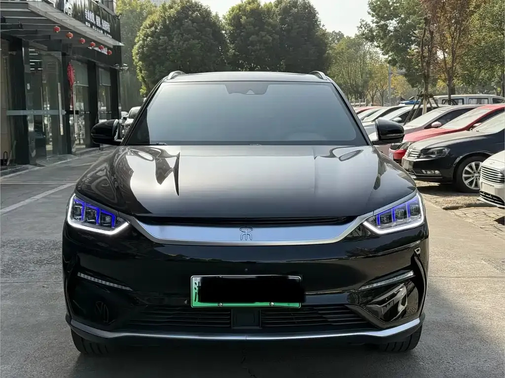 BYD PLUS New Energy 2023 из CN, фото 2